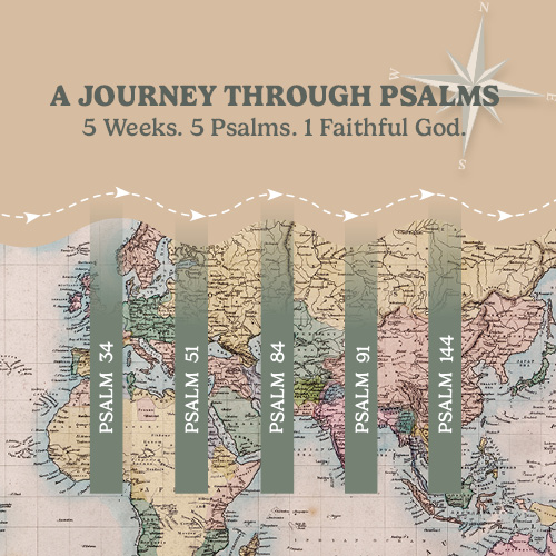 Women's Summer Bible Study